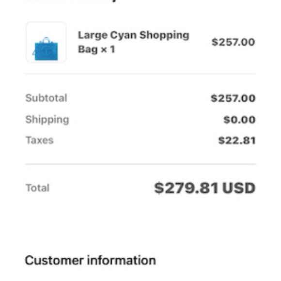 LARGE Cyan Telfar bag - Picture 4 of 4